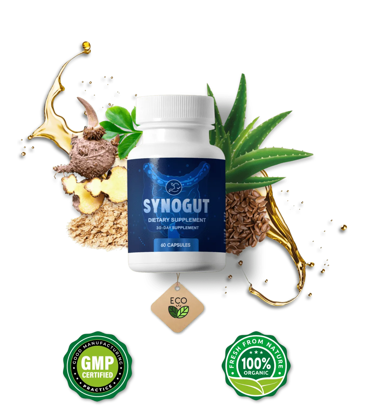 Synogut-official-website